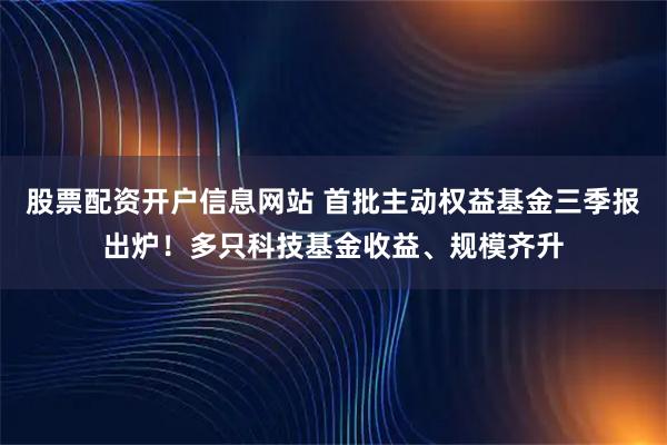 股票配资开户信息网站 首批主动权益基金三季报出炉！多只科技基金收益、规模齐升